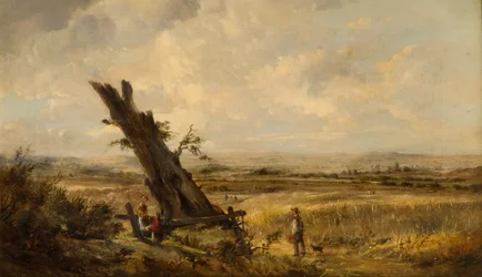 Landscape with Cornfield